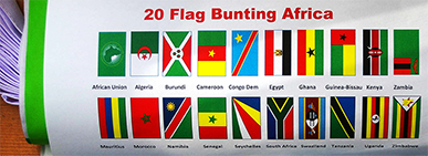 Africa Country Flag Bunting