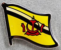 Brunei Lapel Pin