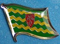 Donegal Flag Pin Ireland
