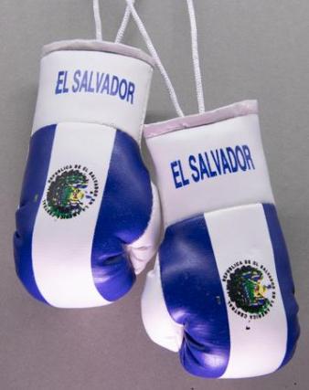 El Salvador Mini Boxing Gloves