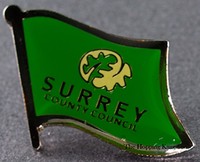 Surrey Flag Pin England