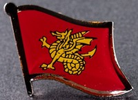 Wessex Flag Pin England