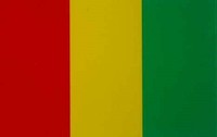 Guinea Flag Sticker