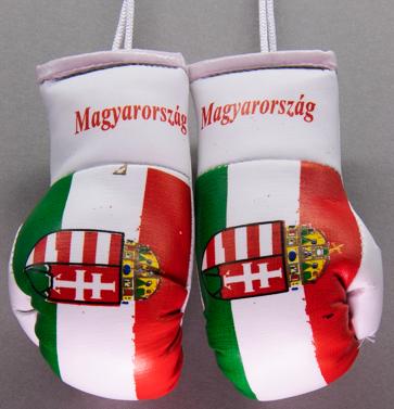 Hungary Mini Boxing Gloves