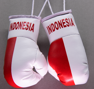 Indonesia Mini Boxing Gloves
