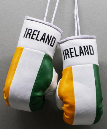 Ireland Mini Boxing Gloves