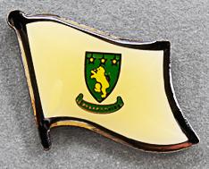 Laois Flag Pin Ireland