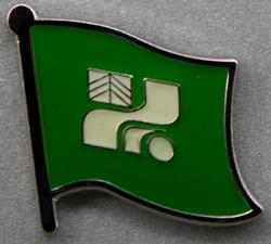 Tochigi Flag Pin Japan