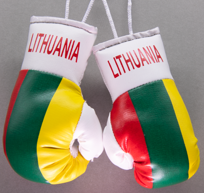 Lithuania Mini Boxing Gloves