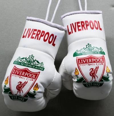 Liverpool Mini Boxing Gloves