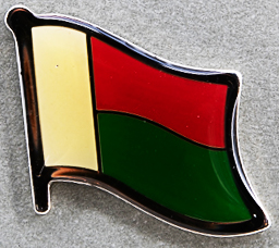 Madagascar Flag Pin AFN