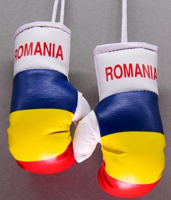 Romania Mini Boxing Gloves