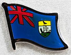 St.Helena Flag Pin AFN