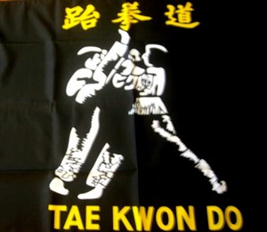 Tae Kwon Do Flag