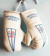 Universidad Catolica Mini Boxing Gloves